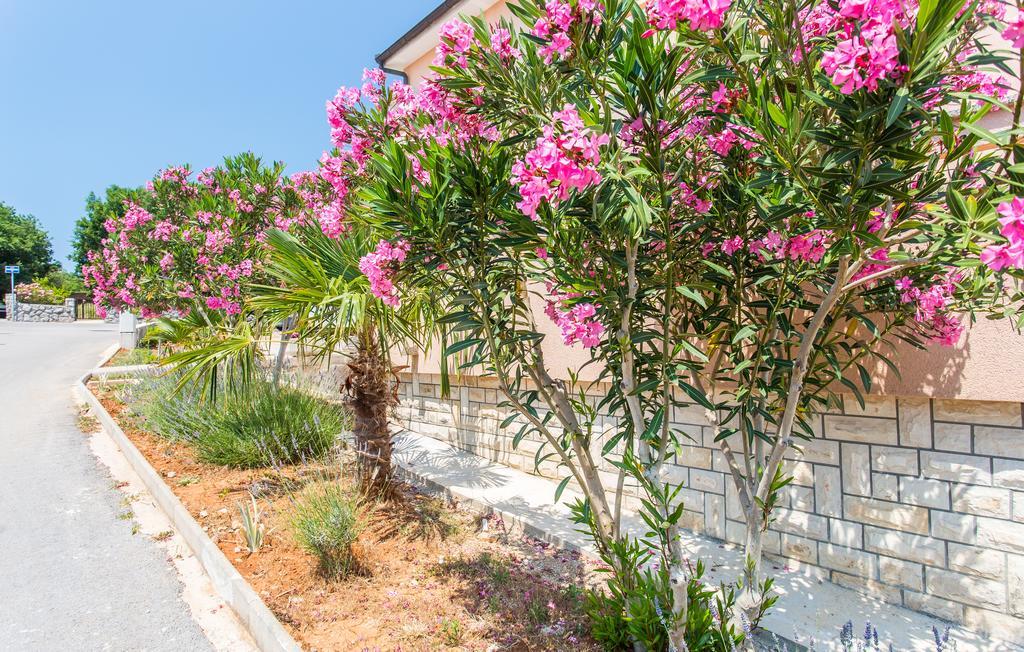 Apartmani Luka Kornić Esterno foto